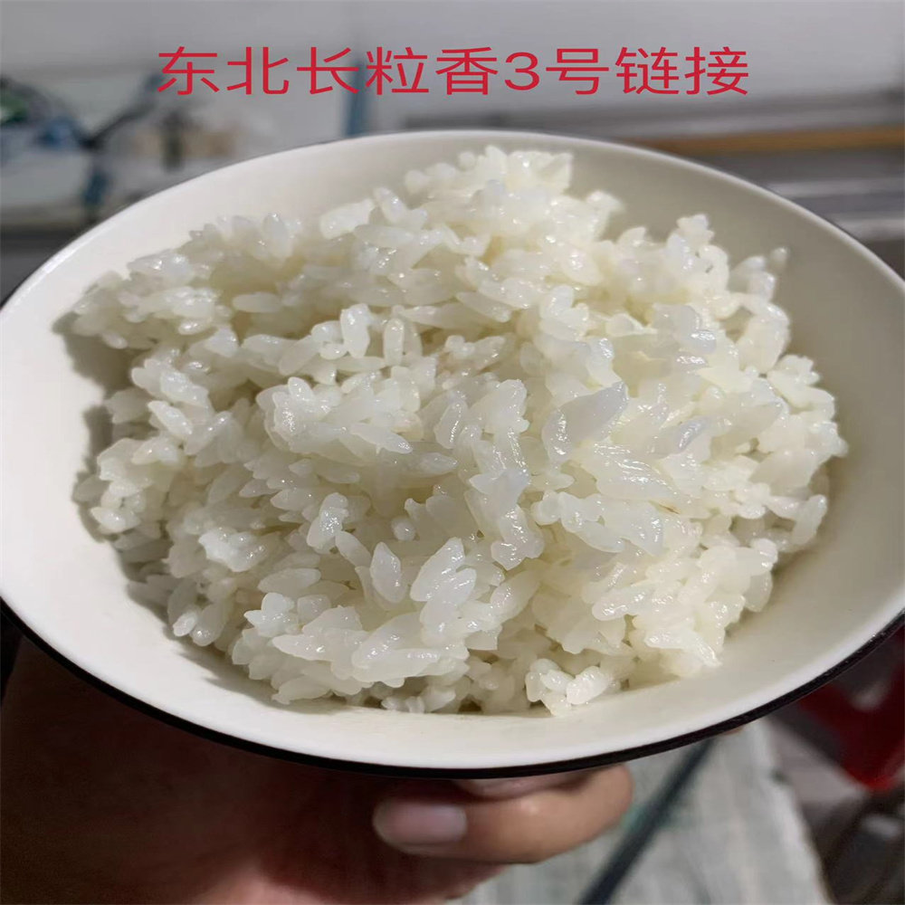 黑土地种植五常东北大米黑土地米