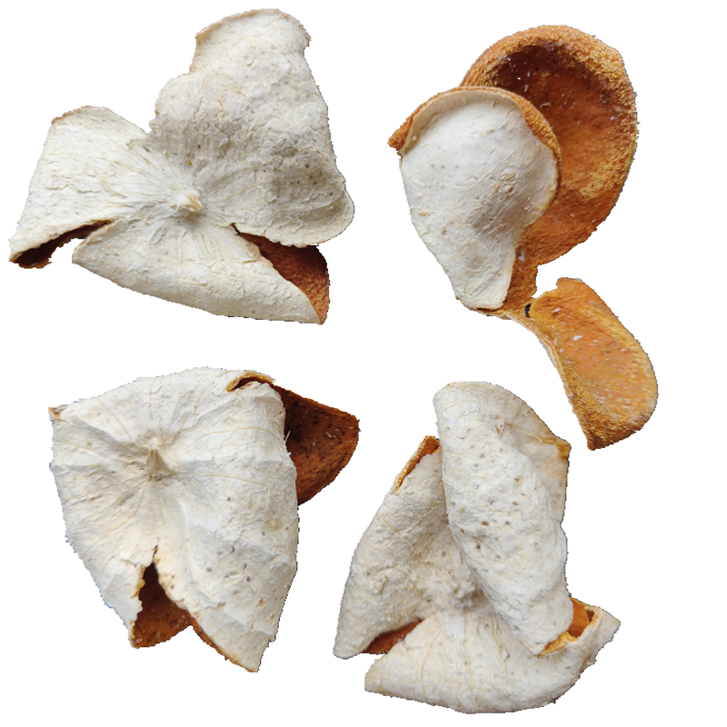 广东江门特产新陈皮天然生晒五年大红皮果皮茶枝柑皮茶500g包邮