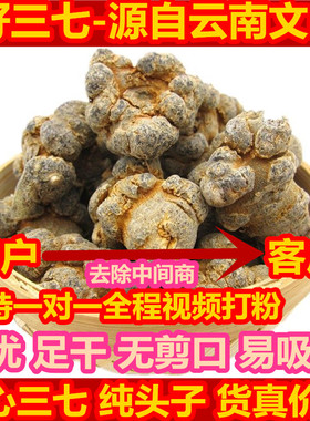 云南文山春三七无剪口20头30头40头田七粉三七头500g代磨粉包邮