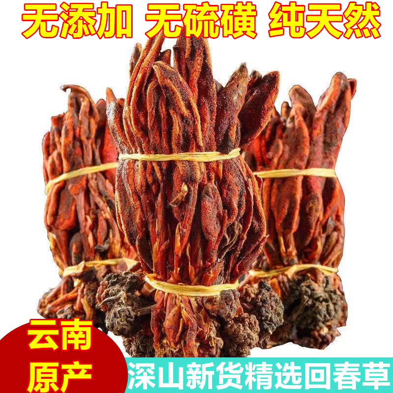 正宗云南深山回春草250g500g不老草顶天柱男性滋补泡酒深山采包邮