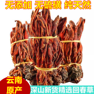 正宗云南深山回春草250g500g不老草顶天柱男性滋补泡酒深山采包邮