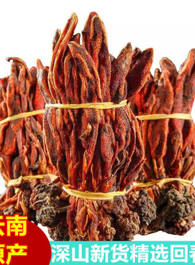 回春草云南深山回春草新货不老草顶天柱泡水泡酒男性滋补250g500g