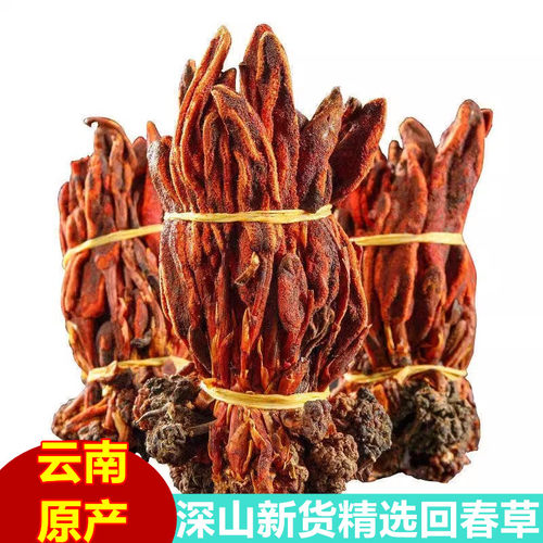 回春草云南深山回春草新货不老草顶天柱泡水泡酒男性滋补250g500g