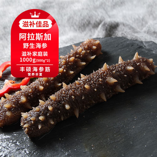 带筋海参 肉厚劲道  生长周期长