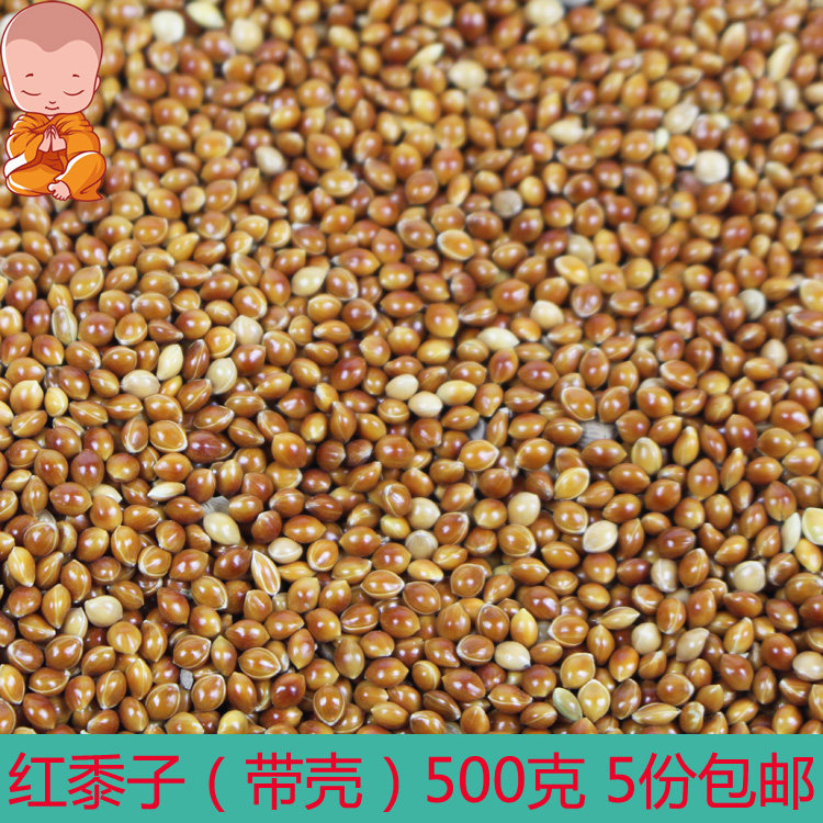 红黍子带壳仓鼠玄凤虎皮牡丹鹦鹉鸟食粮饲料斑鸠鸽粮做枕头5斤