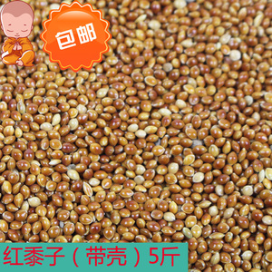 红黍子带壳仓鼠玄凤虎皮牡丹鹦鹉鸟食粮饲料斑鸠鸽粮做枕头5斤