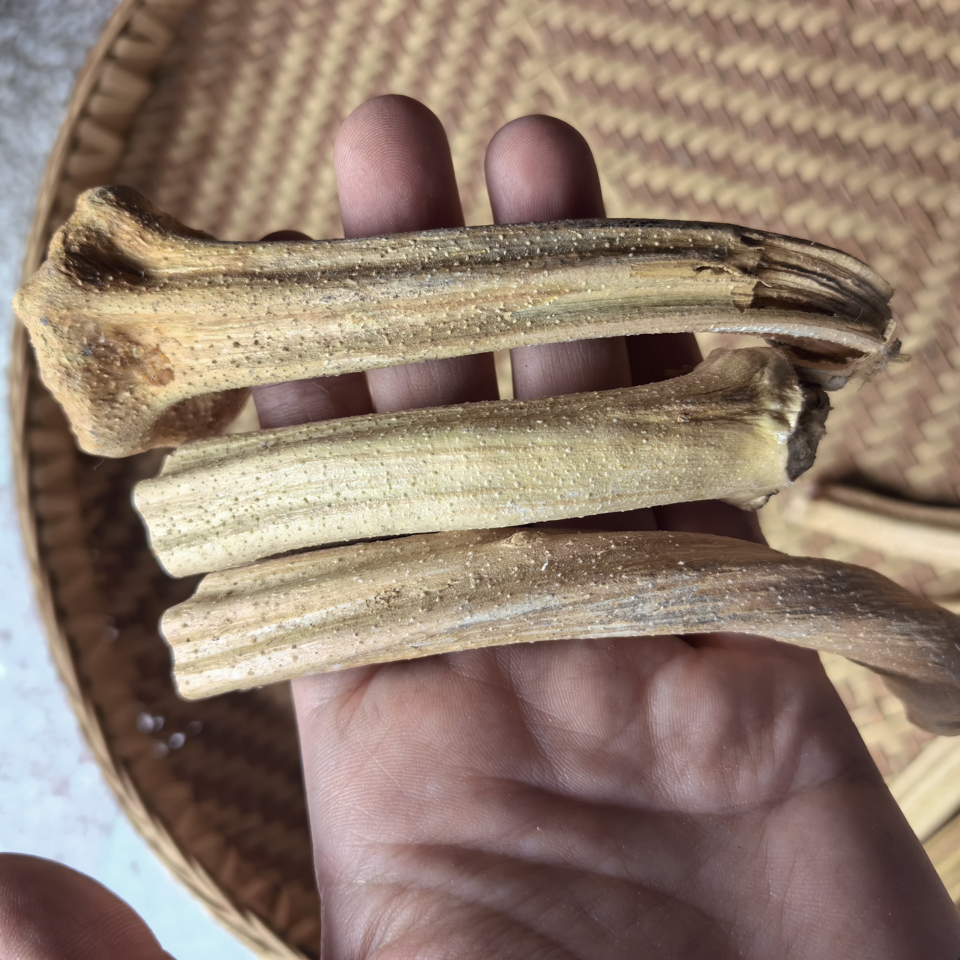 南瓜蒂中药材新货农家南瓜柄头南瓜把自然晒干无硫500克包邮到家