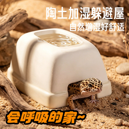 ans洛洛陶瓷加湿躲避蜕皮神器