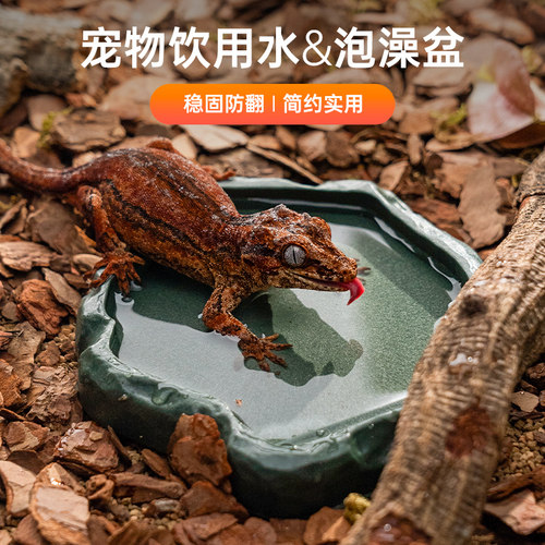陆龟水盆爬虫食盆大小号守宫蜘蛛角蛙乌龟黄缘蝎子蜥蜴宠物蛇泡澡