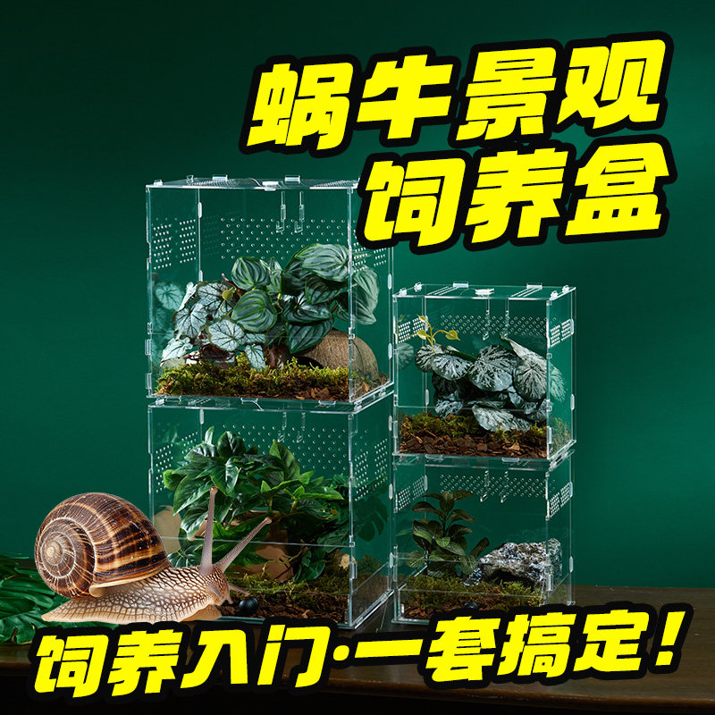 蜗牛饲养盒大号透明观察箱宠物蜗牛屋养殖盒透气孔儿童自然观察盒