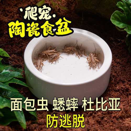 酷克爬虫守宫蜥蜴陶瓷食盆防逃爬宠鬃狮蜘蛛饲养箱活虫杜比亚食碗