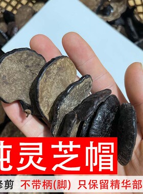 【纯灵芝帽不带脚】云南深山纯野生竹灵芝盖帽叶子500克