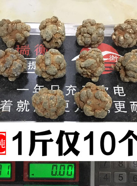 狮子头云南文山春三七10-20-30头特级田七500克超细粉非野生