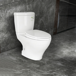 TOTO分体式 CW982直落双档冲水节水马桶智洁釉面马桶 坐便器CW981B