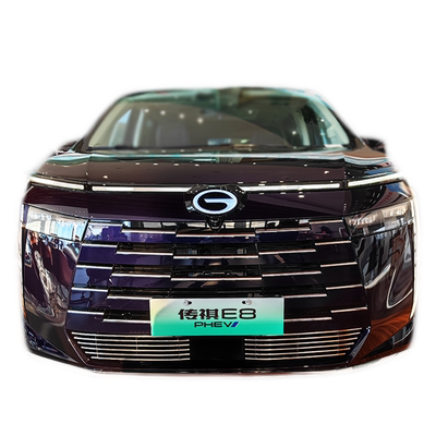 传祺e8防虫版金属免拆中网套件