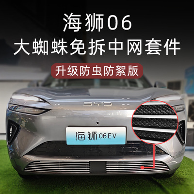 比亚迪海狮06大蜘蛛中网套件