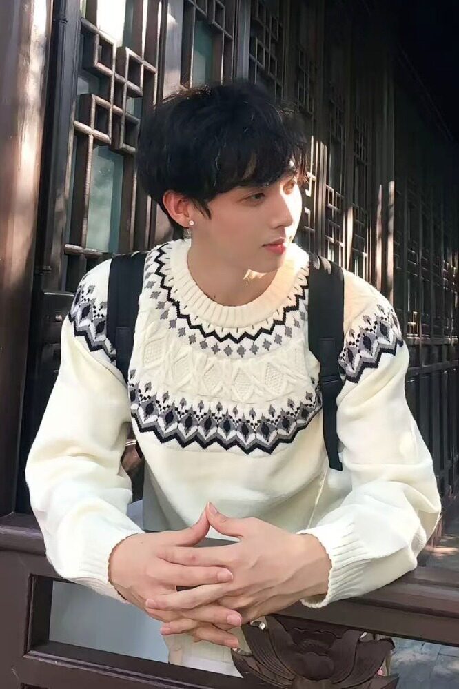 【网52】年秋冬2025新款高领毛衣套头宽松外穿A079-M256-P49,男装针织衫/毛衣,电商A079