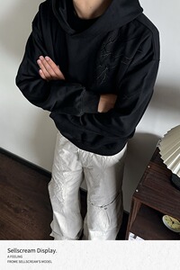 【网74】宽松刺绣连帽卫衣上衣外套2025年秋季新款A079-W591-P36图片