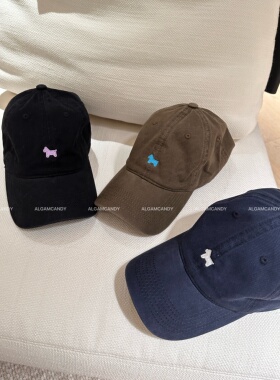 刺绣小马鸭舌帽女四季款宽帽檐显脸小百搭休闲棒球帽221