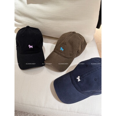 刺绣小马鸭舌帽女四季款宽帽檐显脸小百搭休闲棒球帽221