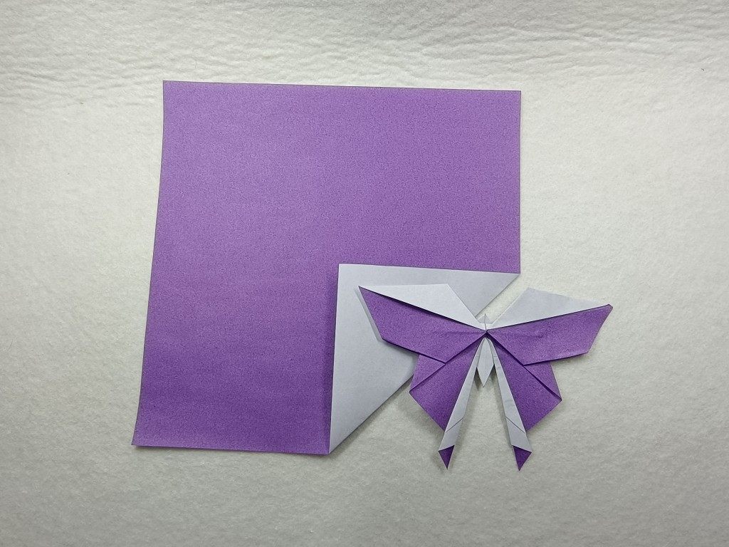 活动紫色白色双色纸正方形折纸紫白专业折纸15厘米30厘米70厘米