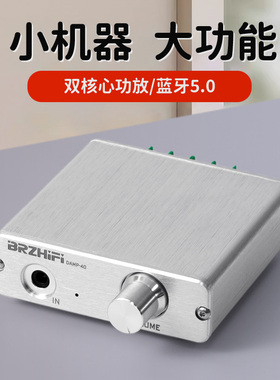 BRZHIFI DAMP-40 双核心TPA3116 100W+100W 2.0数字小功放蓝牙5.0