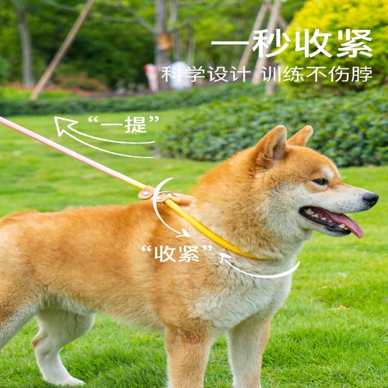 。狗狗牵引绳小体型犬奶狗博美脖圈狗绳吉娃娃茶杯犬约克夏幼犬狗