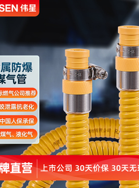 伟星煤气瓶液化气罐热水器煤气灶专用连接防爆铠装管新国标双插口