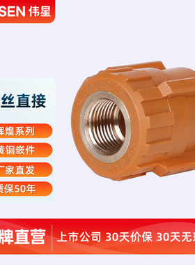 VASEN伟星管 辉煌色 PPR水管配件 4分20 6分25 内牙直接 内丝直接