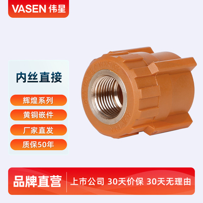 VASEN伟星管 辉煌色 PPR水管配件 4分20 6分25 内牙直接 内丝直接