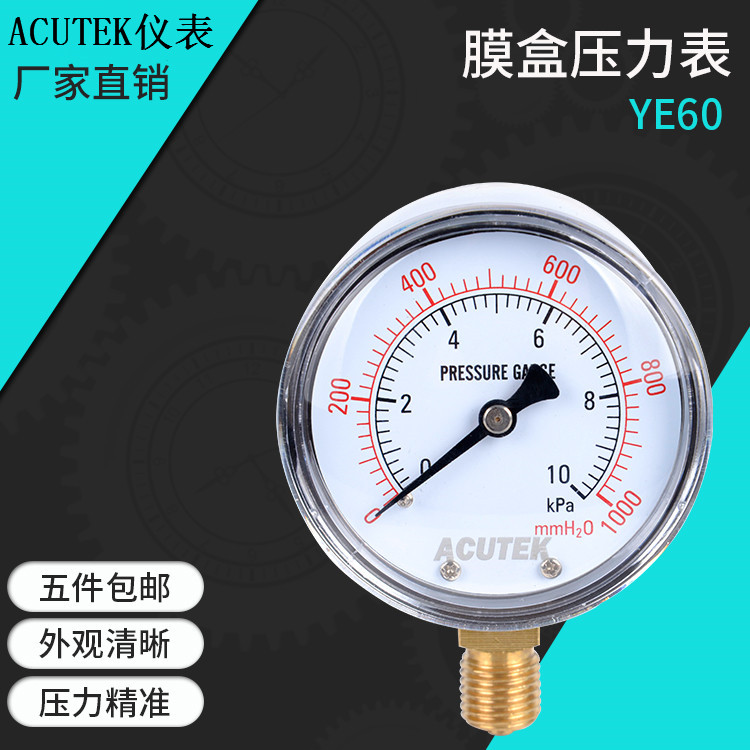 ACUTEK上海安装工程膜盒压力表