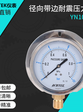 径向带边耐震压力表 YN100T 1MPA 20*1.5 船用 防震 抗震压力表