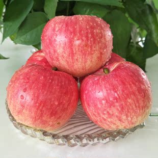 陕西红富士苹果带箱5斤当季新鲜水果脆甜爽口铜川苹果韵达包邮