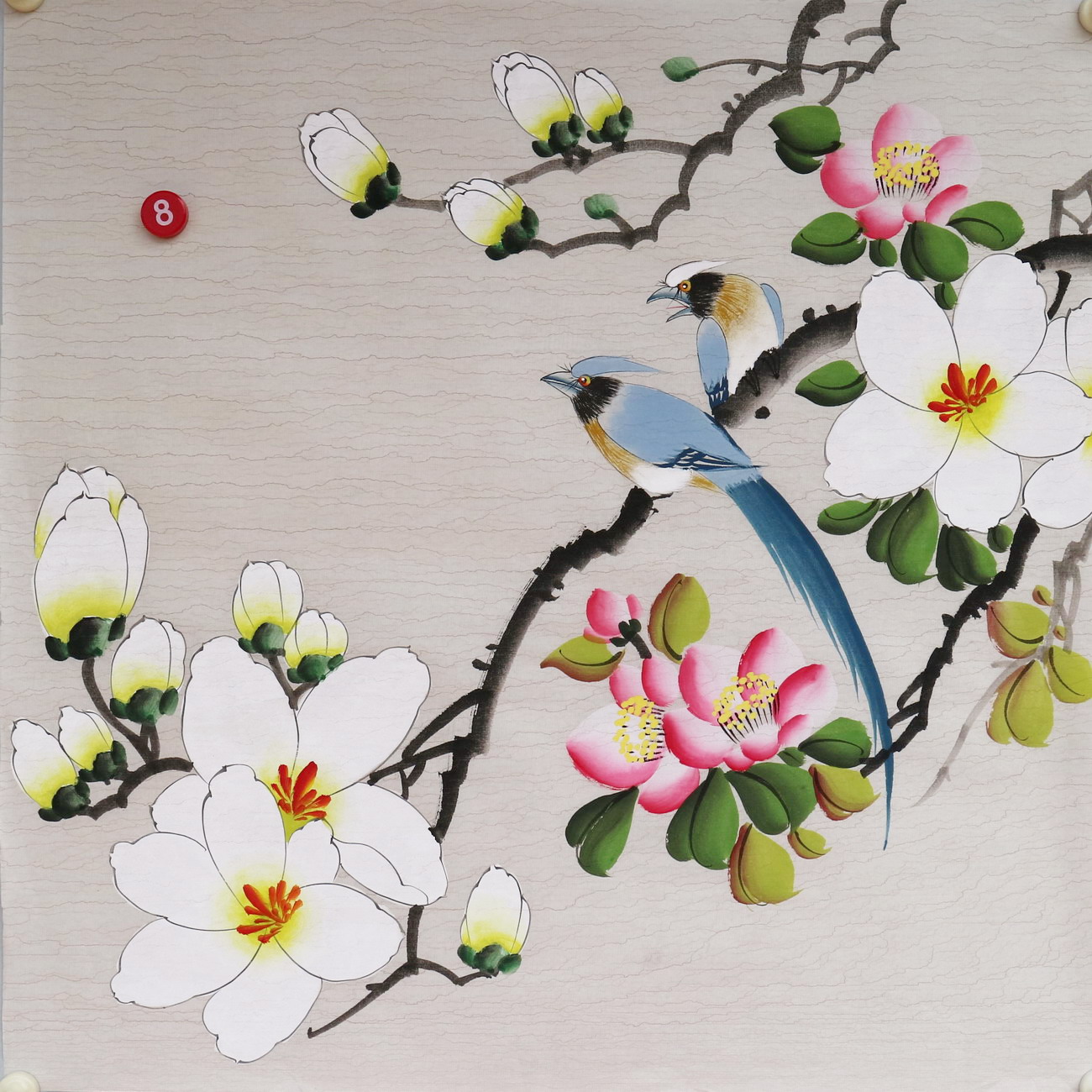 楼一阁书画无款三尺斗方小写意玉兰花鸟国画装饰字画特价RD561908