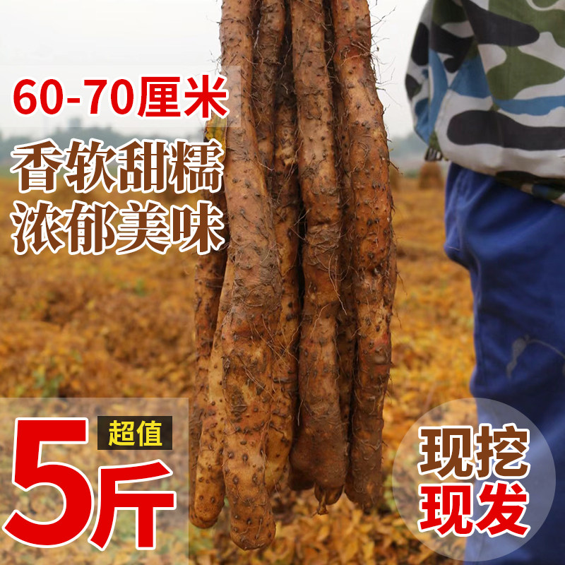 山药新鲜铁棍山药5斤包邮小白嘴新鲜蔬菜铁杆淮山药3斤非温县垆土