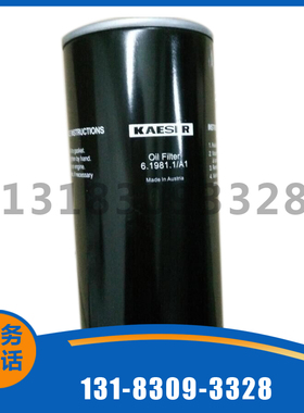 6.1979.2 B1替代凯撒空压机油过滤器滤芯配件 凯撒分离设备三滤件