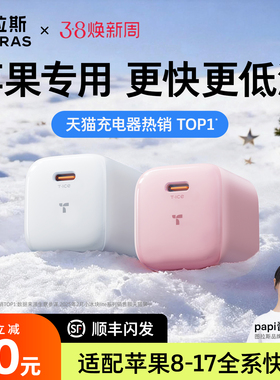 【苹果专用】图拉斯小冰块Lite适用苹果充电器充电头iPhone17ProMax快充40/45W手机16数据线13插头15typec14