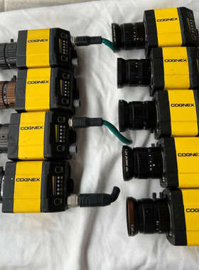 COGNEX康耐视DM363SX