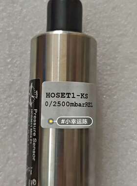 HOPPE 压载探头Hoset1--kS 0/2500mb，
