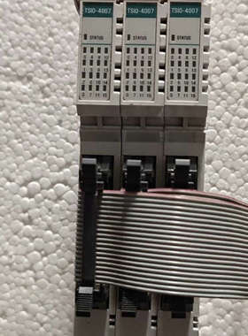 丹纳赫TSIO-4007 IO模块。