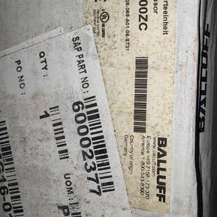 626 A01 ST31 069 巴鲁夫BIS