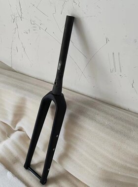 700X47C 轻量 碳纤维GRAVEL前叉 公路平装碟刹 内走线 100X12开档