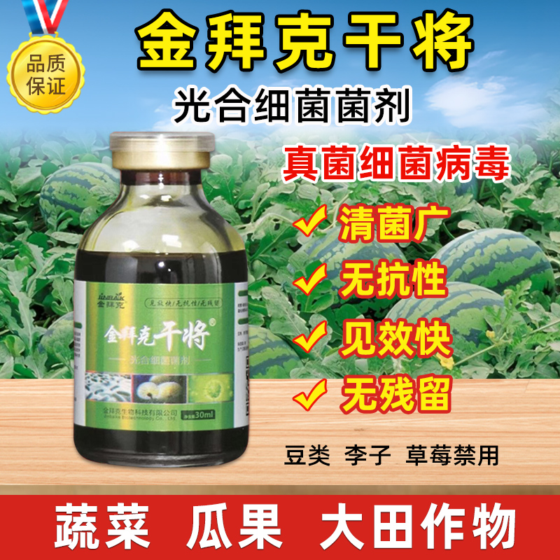 金拜克干将杀菌剂辣椒病害番茄病害真菌细菌病毒病光合细菌菌剂