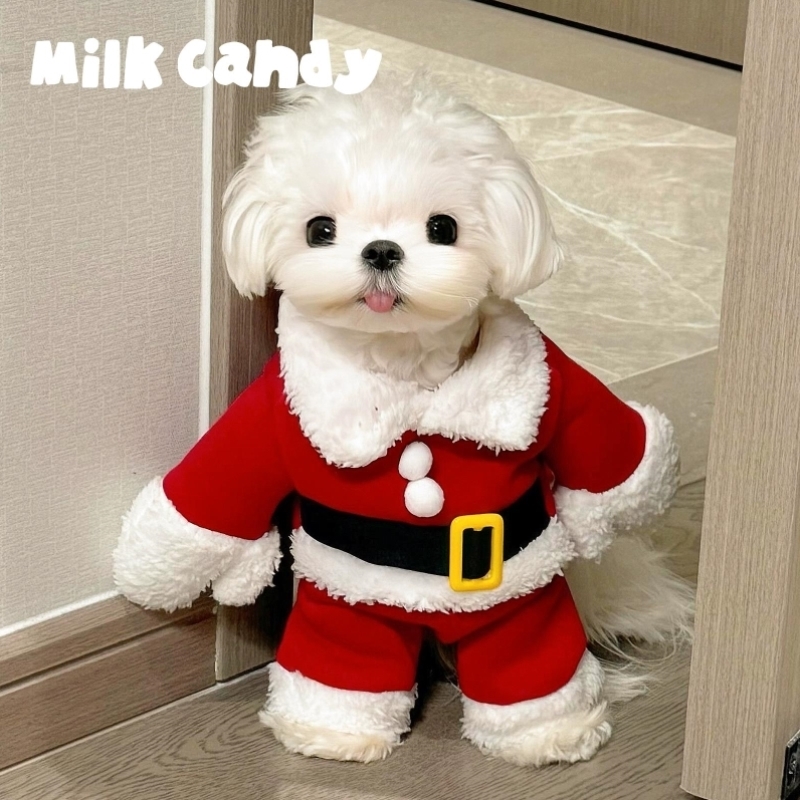 狗狗圣诞老人衣服小型犬宠物圣诞节变装冬装猫咪可爱服装冬季