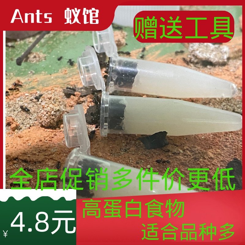 ants蚁馆 弓背蚁喂食专用 可食用 变色蜂蜜水 营养液 蚂蚁果冻