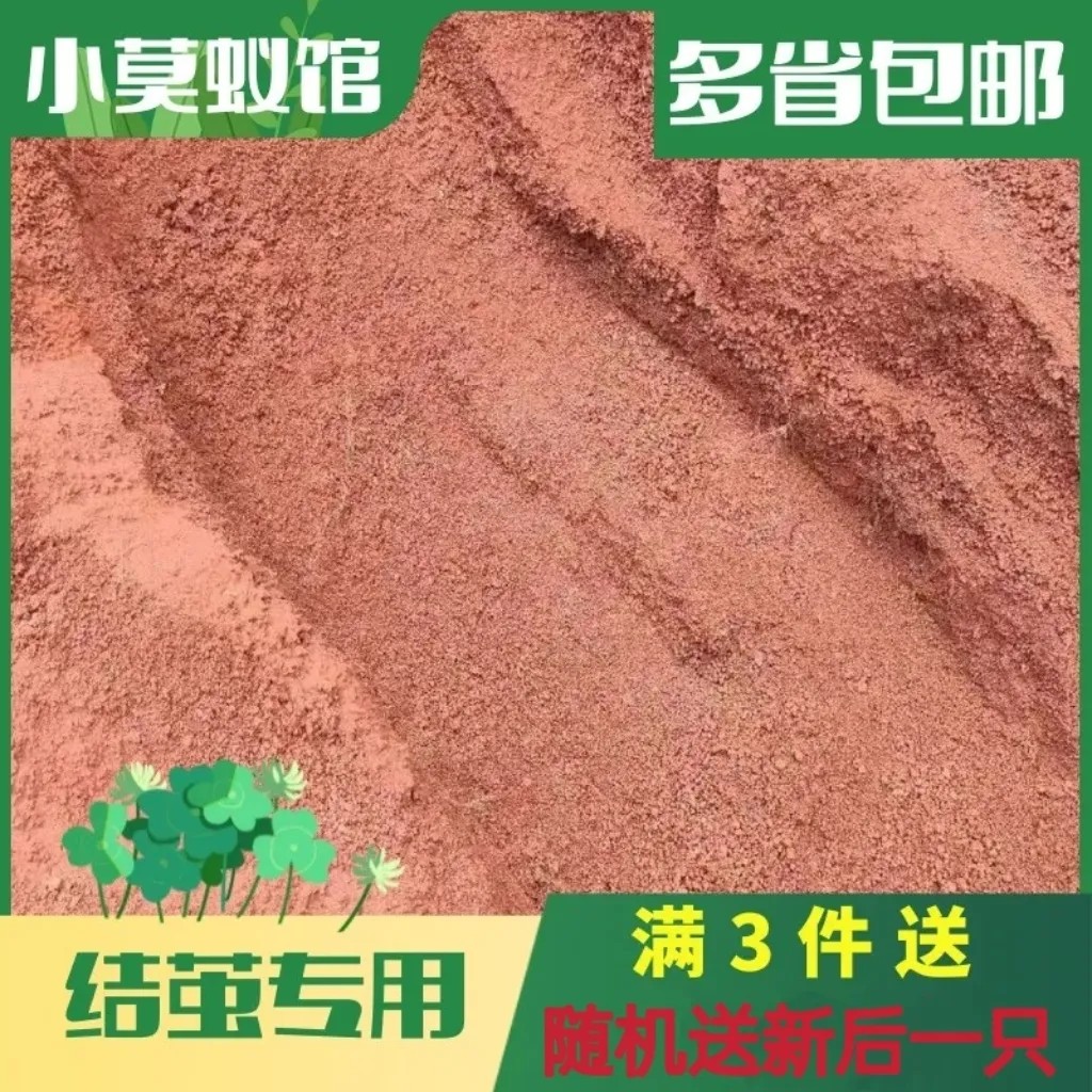 小莫蚁馆 结茧专用红土 猛蚁专用介质红土结茧 养蚁专用
