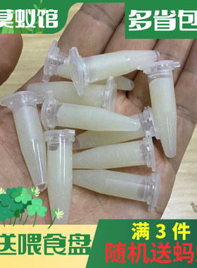 蚂蚁食物蛋白质营养液