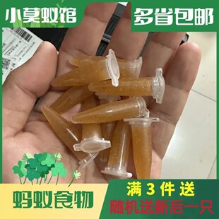 植物蛋白 添加昆虫蛋白 蚂蚁食物 蚂蚁果冻高蛋白食物 小莫蚁馆