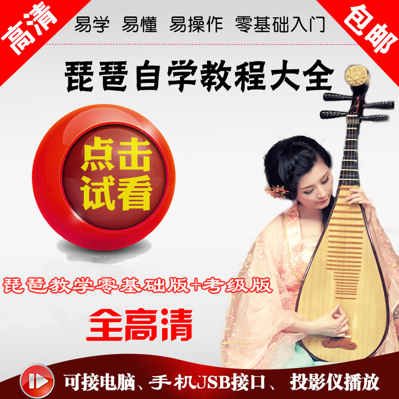 琵琶视频教程基础初学入门精通