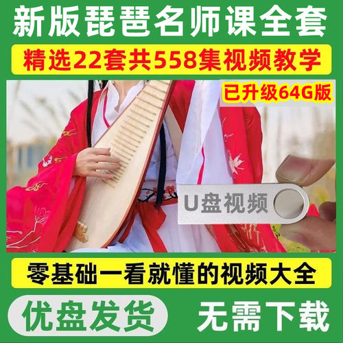 琵琶自学教程U盘新手入门视频教学大全初学者零基础全套优盘课程